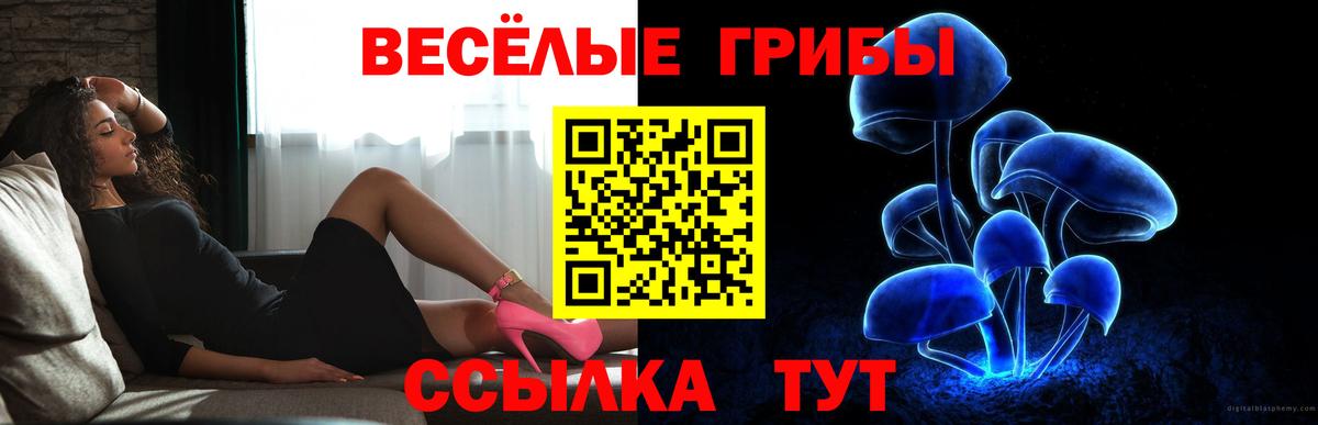 купить  сайты  Вход с VPN  Курчатов  Галлюциногенные грибы Psilocybe  Псилоцибиновые грибы Cubensis 
